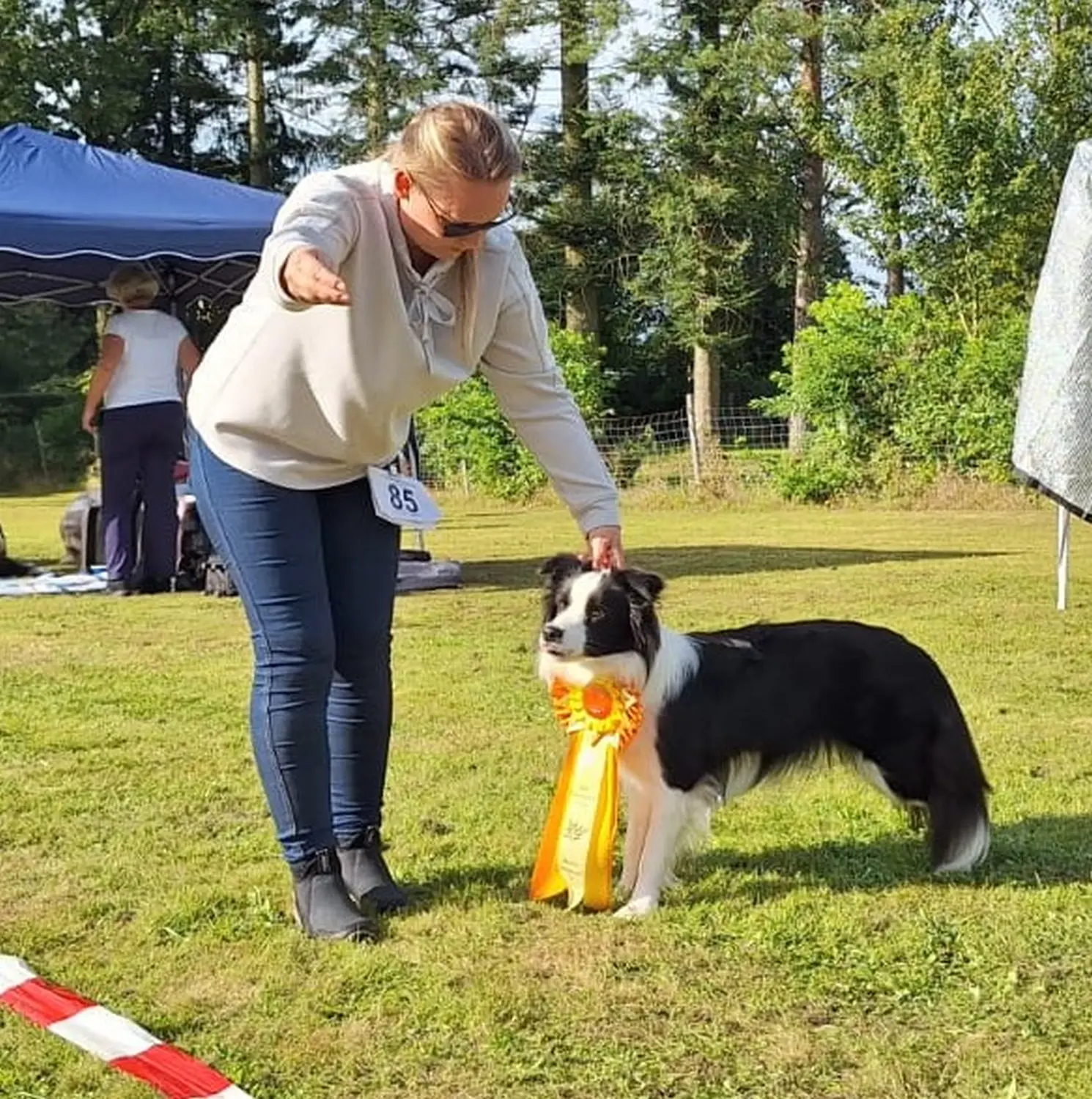 Club fur Britische Huntehunde e.V.
