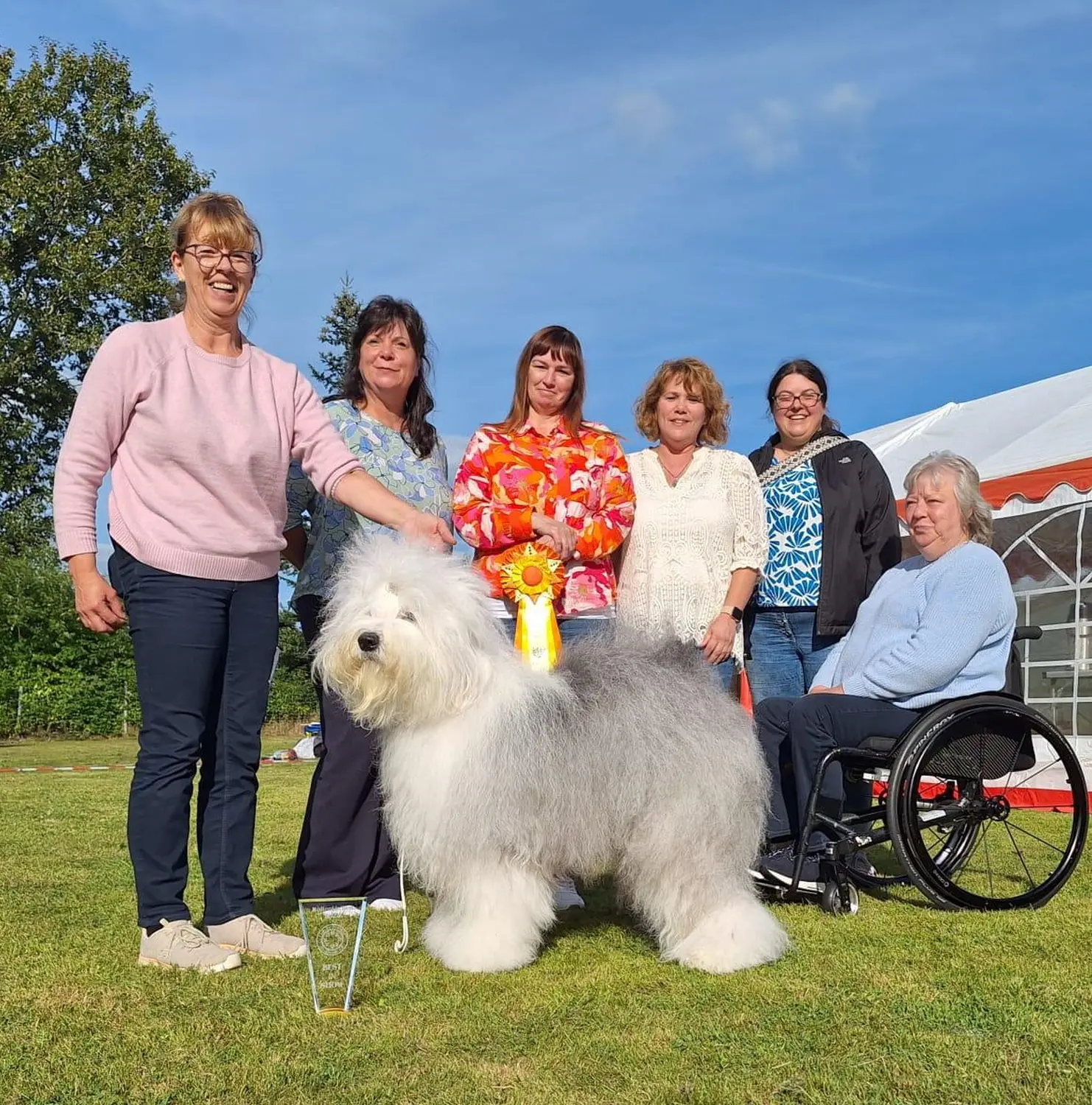 Club fur Britische Huntehunde e.V.