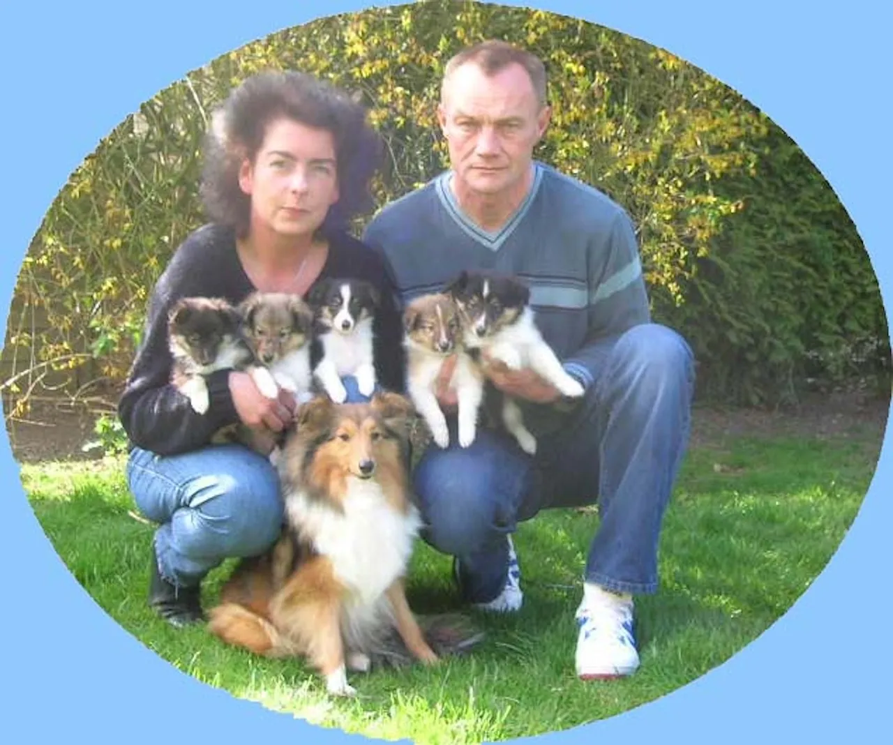 Club fur Britische Huntehunde e.V.